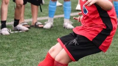 test demo nghiệm thu tin đơn vị - TTD